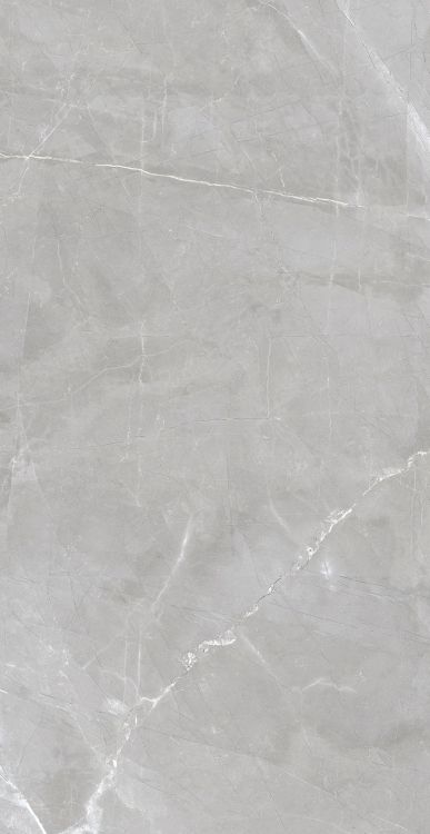 Luxury Amani Grey Matte 24 x 48